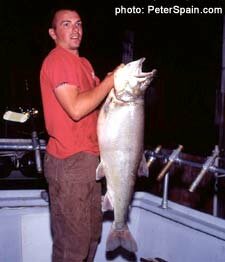 Angler with a large Lake Tahoe catch